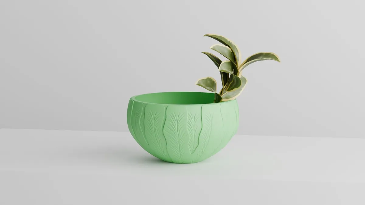 Botanica Collection — photo
