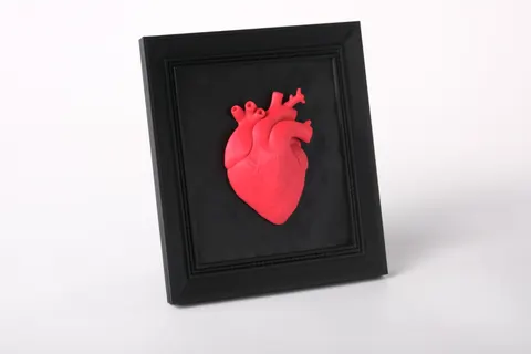 Anatomical Heart Wall Art — 3D printed wall decor piece