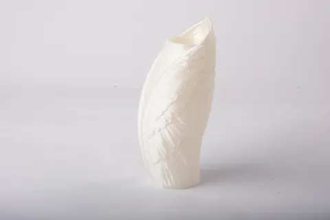 Angel Wings Vase — 3D printed figural vase