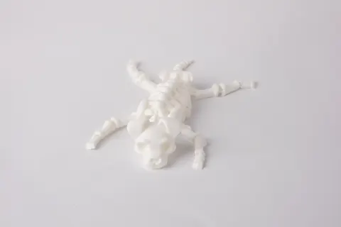 Articulated Dog Skeleton Toy — 3D printed flexi animal
