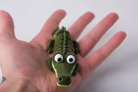 Big Eyed Crocodile Flexi Toy — 3D printed fidget toy