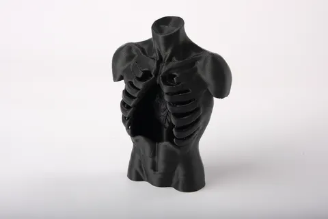 Black Ribcage Torso Sculpture — 3D printed gothic figurine