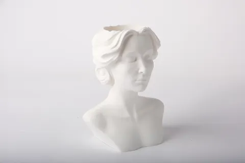 Classic Muse Head Vase — 3D printed figural vase