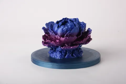 Coral Peony Sculpture — 3D printed botanical sculpture