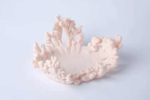 Coral Saucer Decorative Dish — 3D printed figural vase