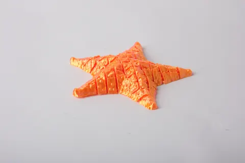 Flexi Starfish Toy — 3D printed fidget toy