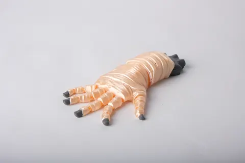 Flexible Mummy Hand — 3D printed animal figurine