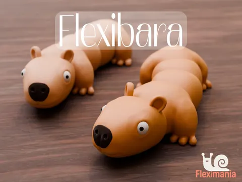 Funny Capybara Fidget Toy — 3D printed fidget toy