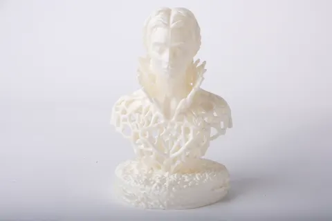 Girl Coral Nymph — 3D printed bust sculpture