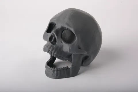 Open Jaw Skull Aquarium Decor — 3D printed gothic figurine