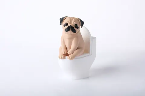 Pug on Toilet Statue — 3D printed animal figurine