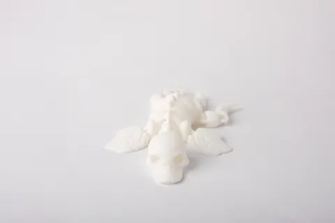 Skeleton Duck Flexi Figurine — 3D printed flexi animal