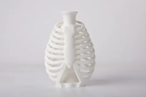Skeleton Rib Cage Vase — 3D printed figural vase