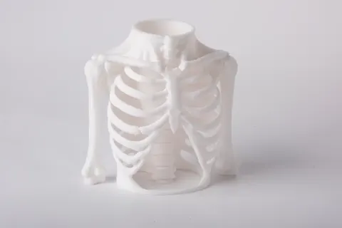 Skeleton Rib Cage Vase — 3D printed geometric vase