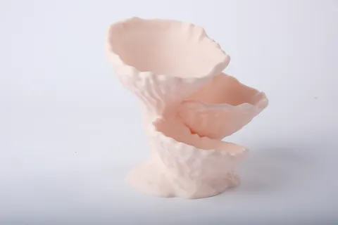 Tiered Coral Organizer — 3D printed botanical tray